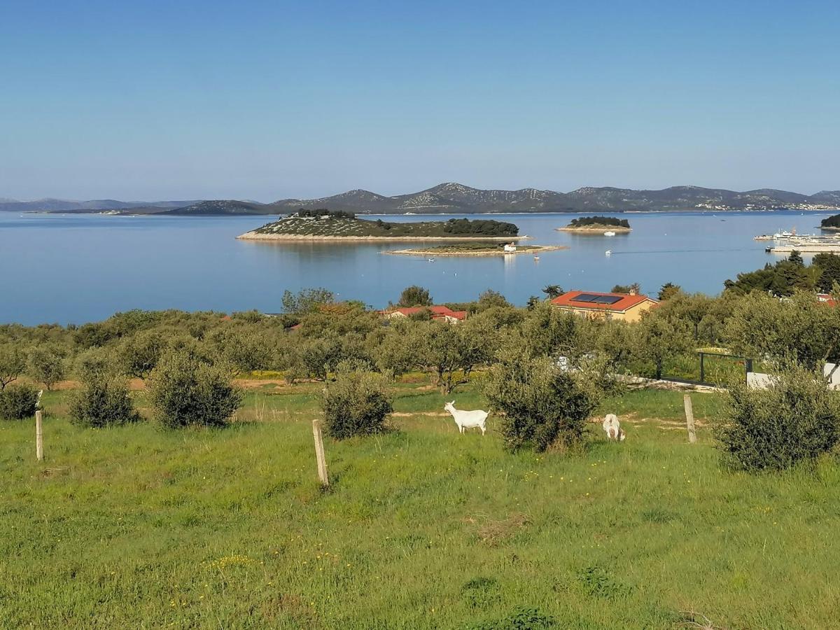 Apartman 2 Punta Pakoštane Exterior foto